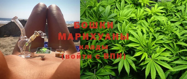 ПСИЛОЦИБИНОВЫЕ ГРИБЫ Медногорск