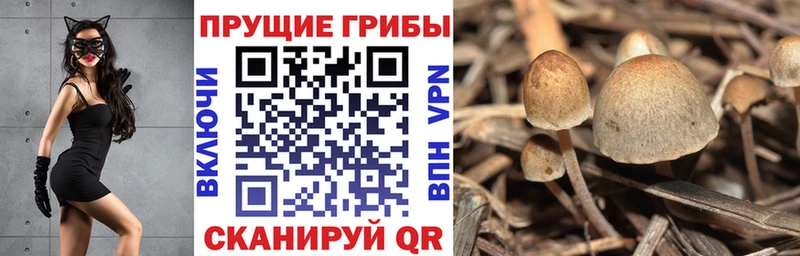 Галлюциногенные грибы Magic Shrooms  цена наркотик  Туран 