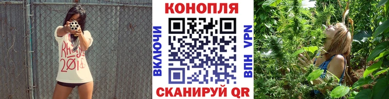 Бошки марихуана VHQ  Туран 